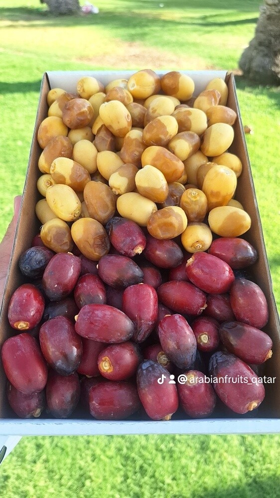 لوز والرطب - 8