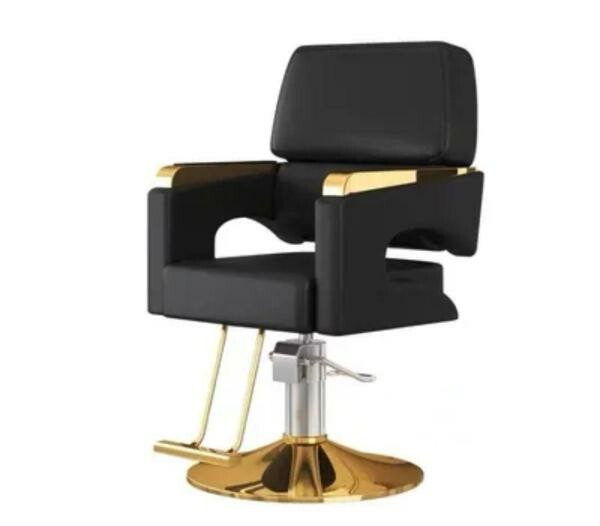 Salonchair - 10