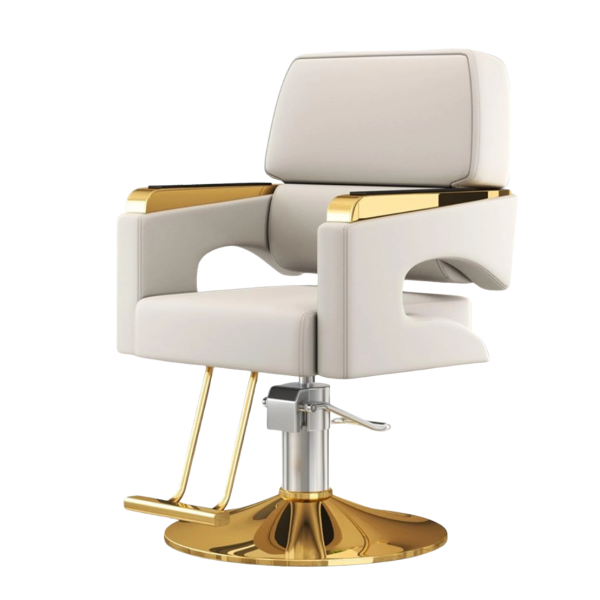 Salonchair - 3