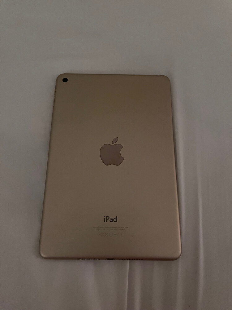 iPad mini4 - 2