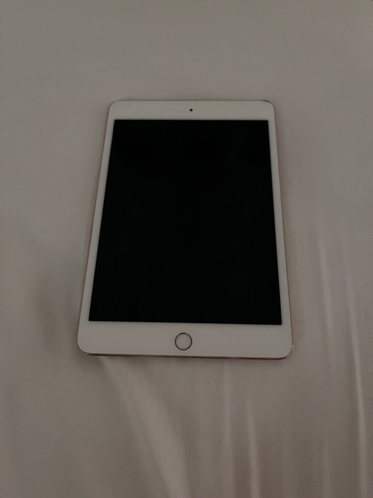 iPad mini4 - 1