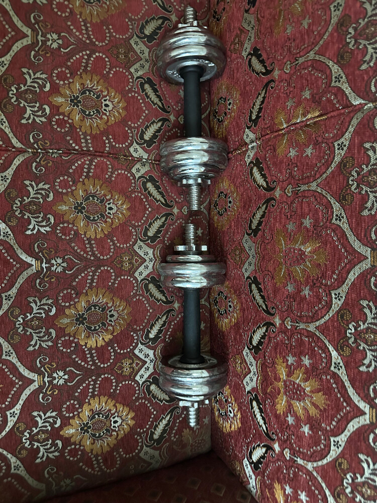 دمبل  - 1