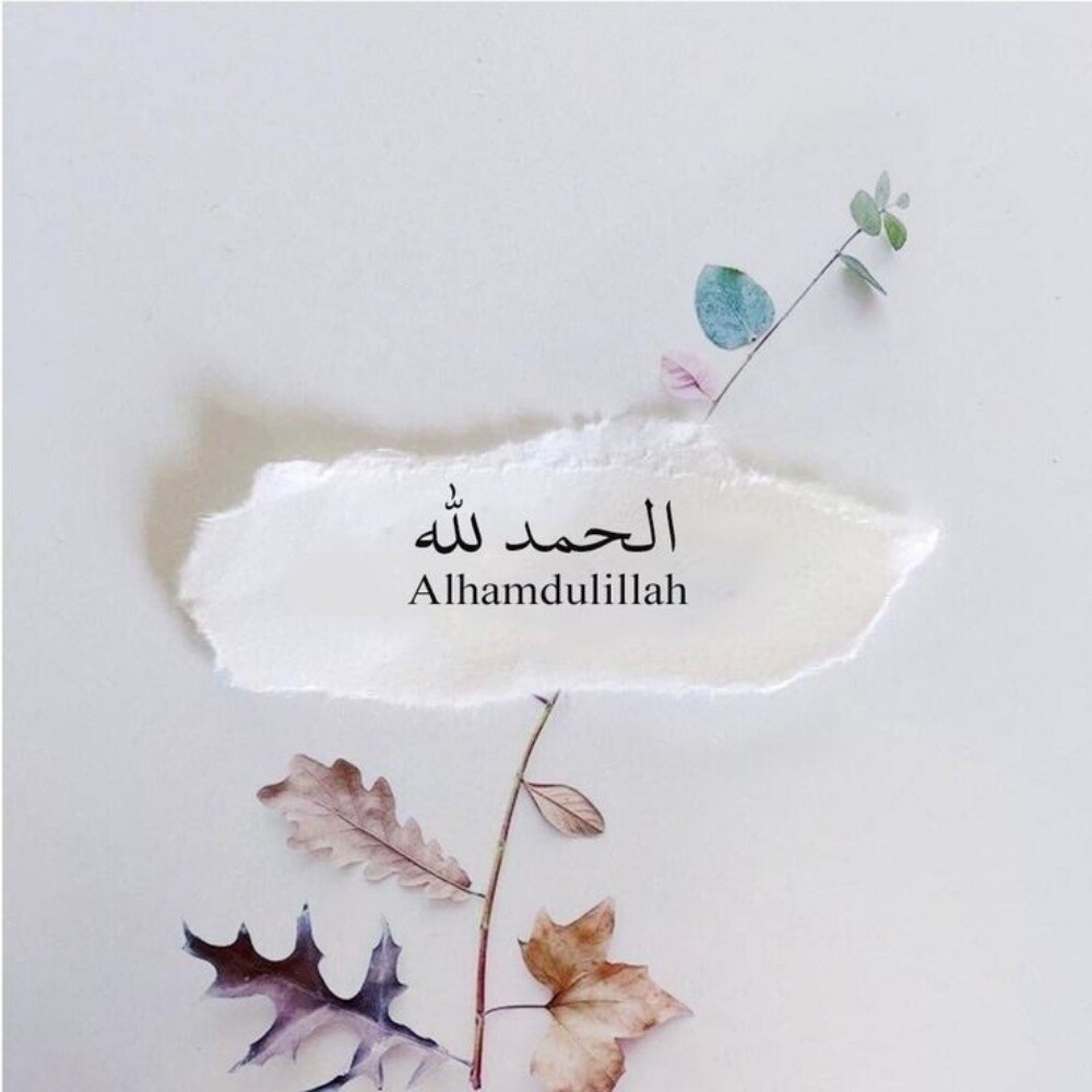 مامون - 1
