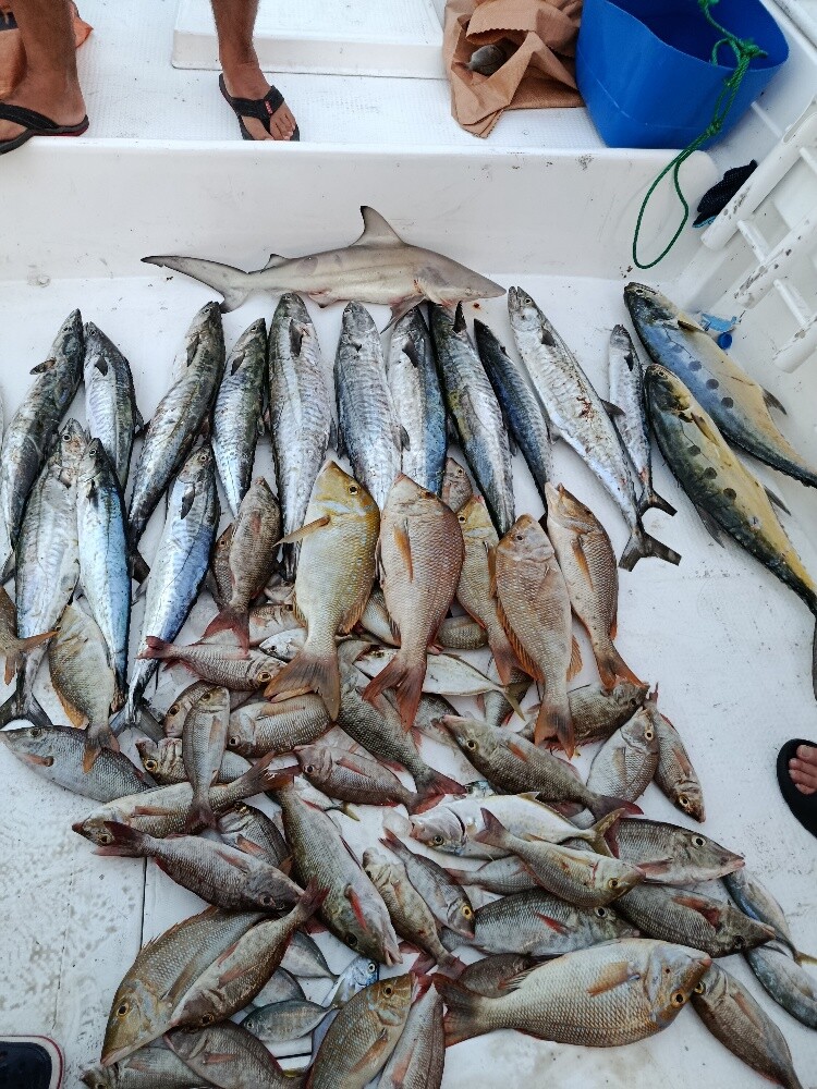 fishing Boat - 9