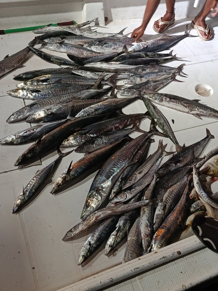 fishing Boat - 12