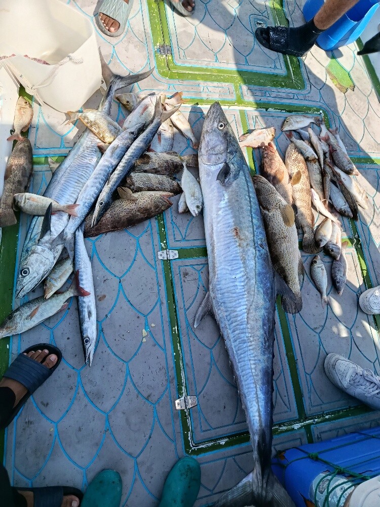 fishing Boat - 6