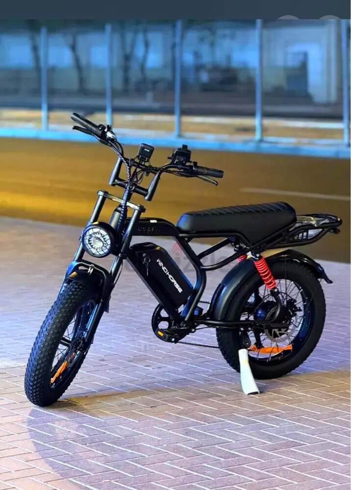 Windhorse E-bike - 4