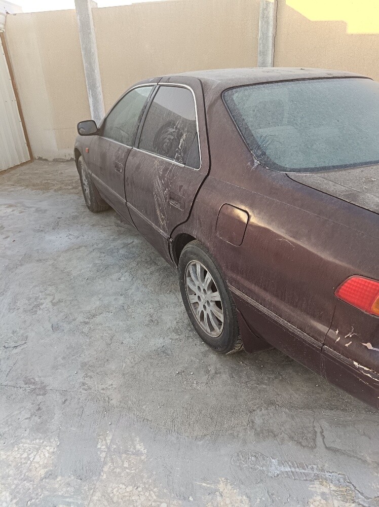 سكراب - 1