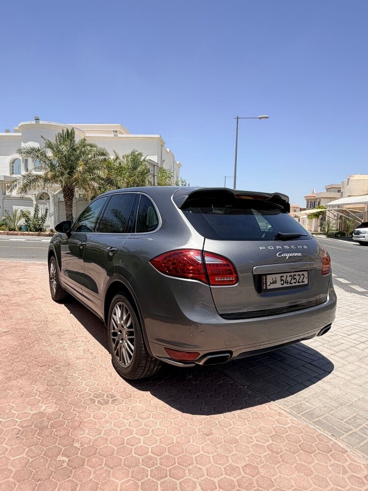 Porsche Cayenne 2014 Platinum - 9