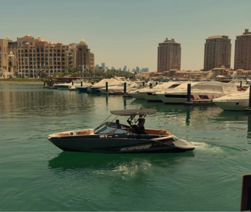 سكارب 2016 - 3