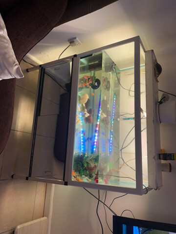Mohd - 3