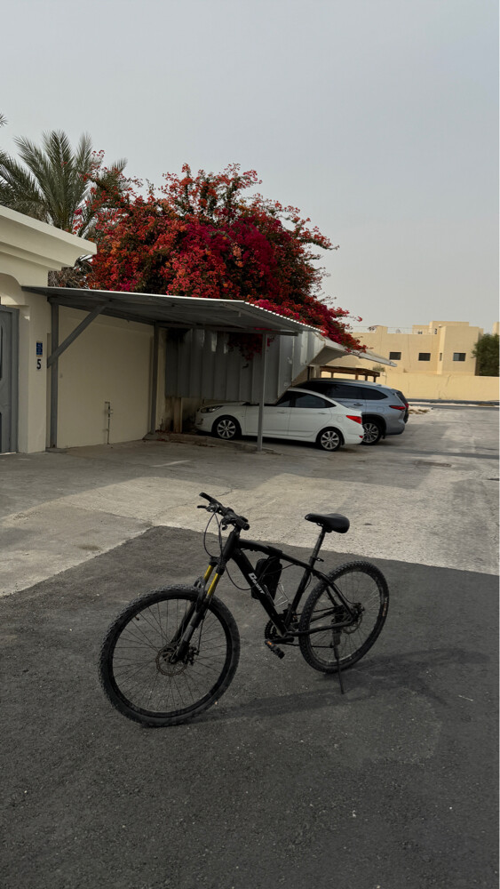 bicycle 26  - 2