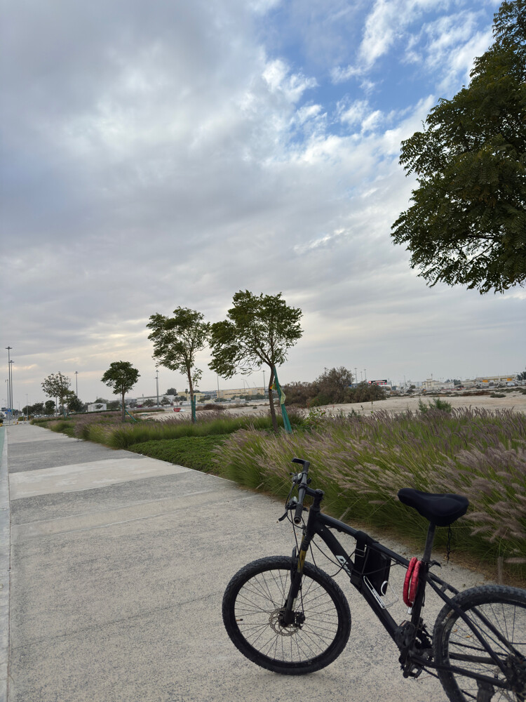 bicycle 26  - 3