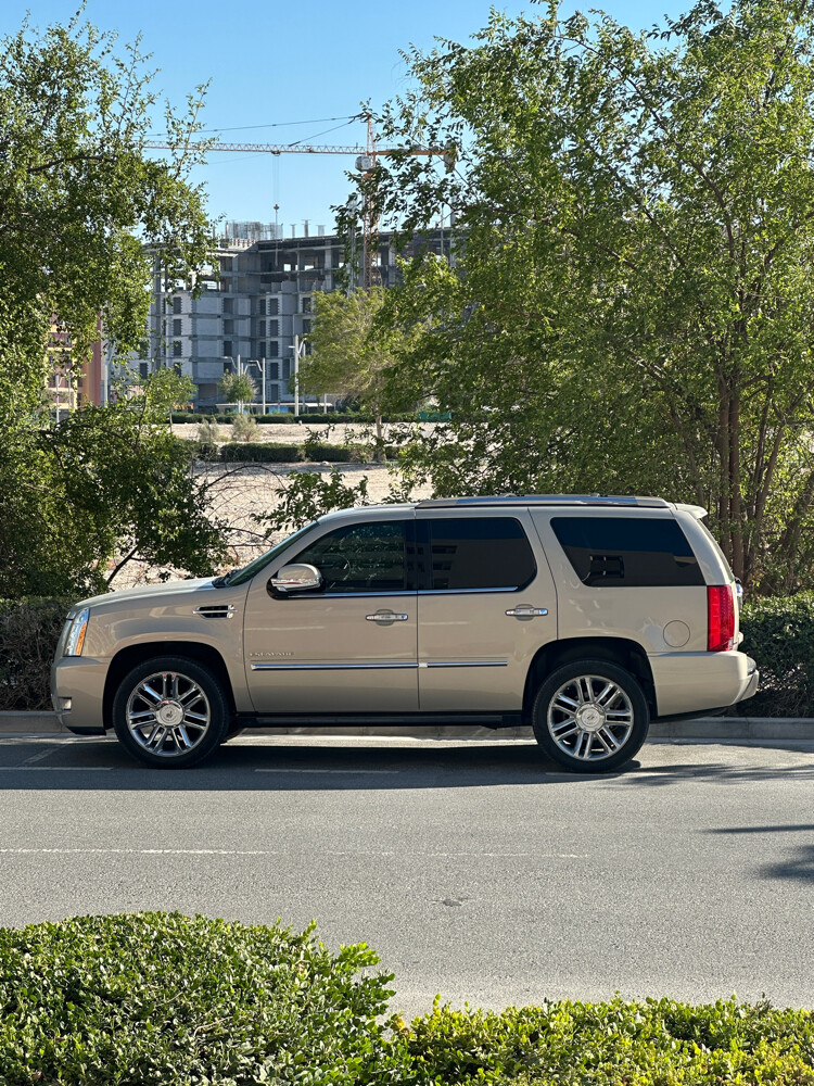 Cadillac Escalade platinum short - 1