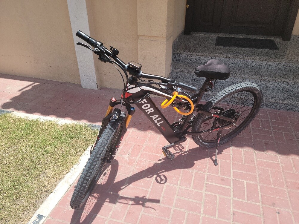 For all Beast Ebike 48V - 2