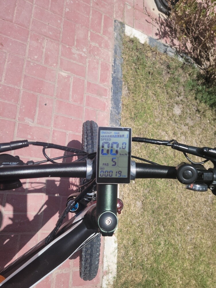For all Beast Ebike 48V - 1