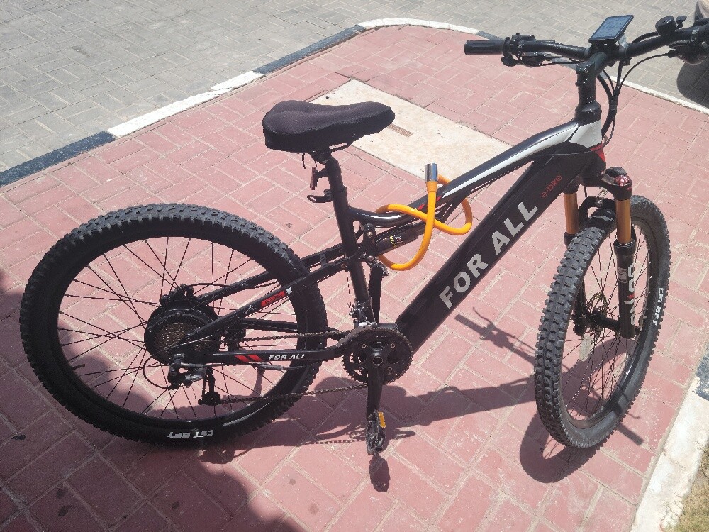 For all Beast Ebike 48V - 5