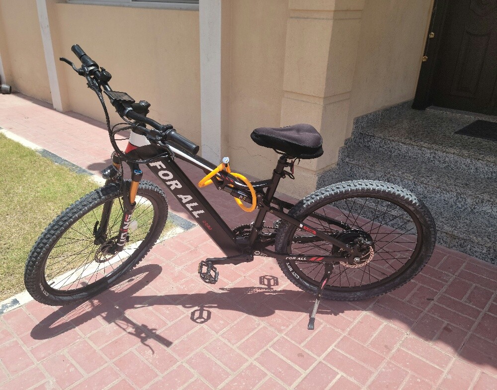 For all Beast Ebike 48V - 3