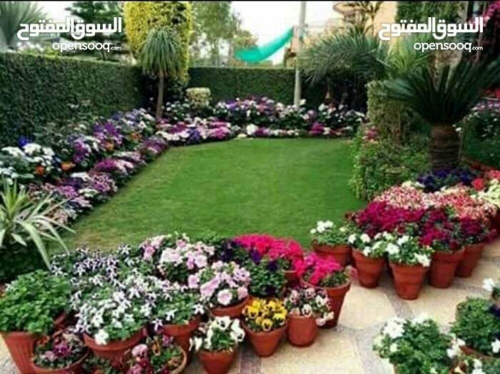 منطقه الدفنه مزارع واسع الخبره - 1