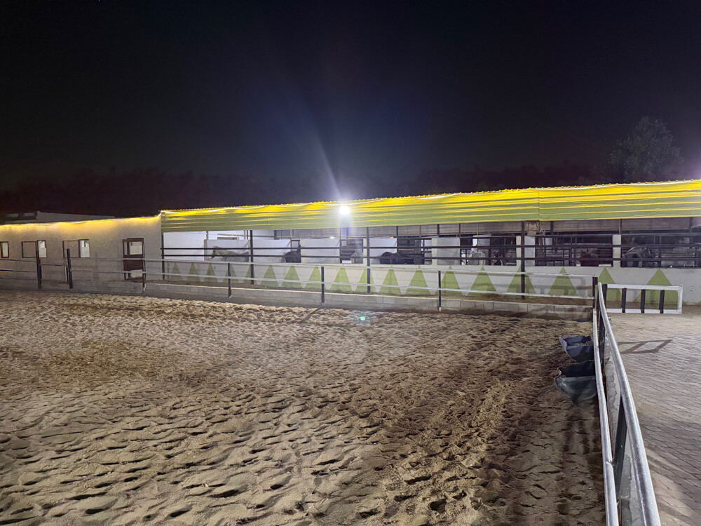Horse rental room 1000 - 9