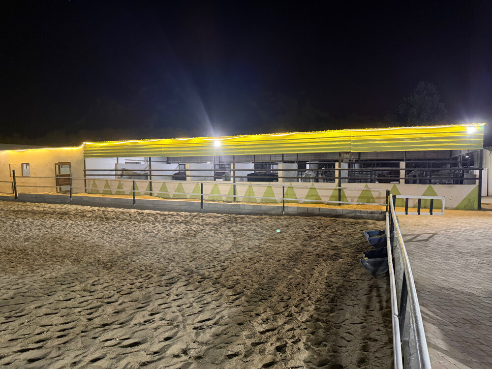 Horse rental room 1000 - 12