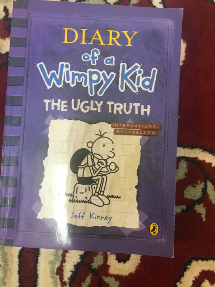 diary of a wimpy kid the ugly truth - 1
