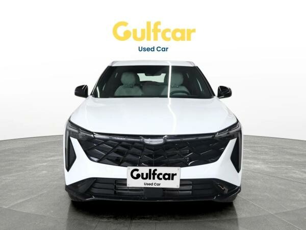 جيلي سيتي راي 2026 - 11