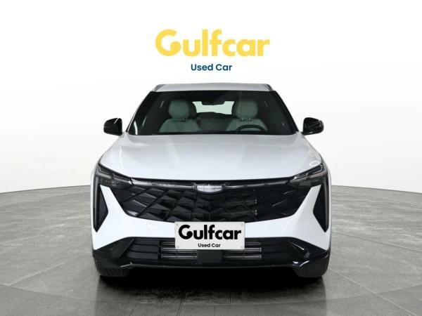 جيلي سيتي راي 2026 - 12
