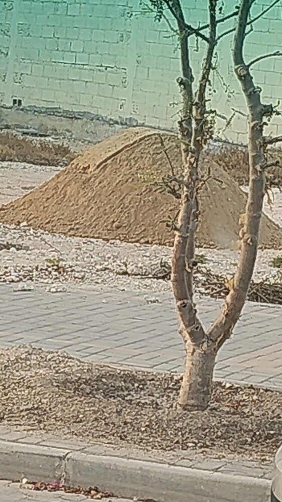 طين مخلوط - 3