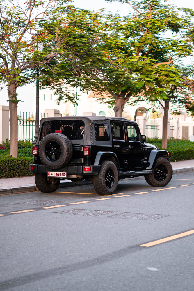 jeep wrangler Sahara 2013 - 5