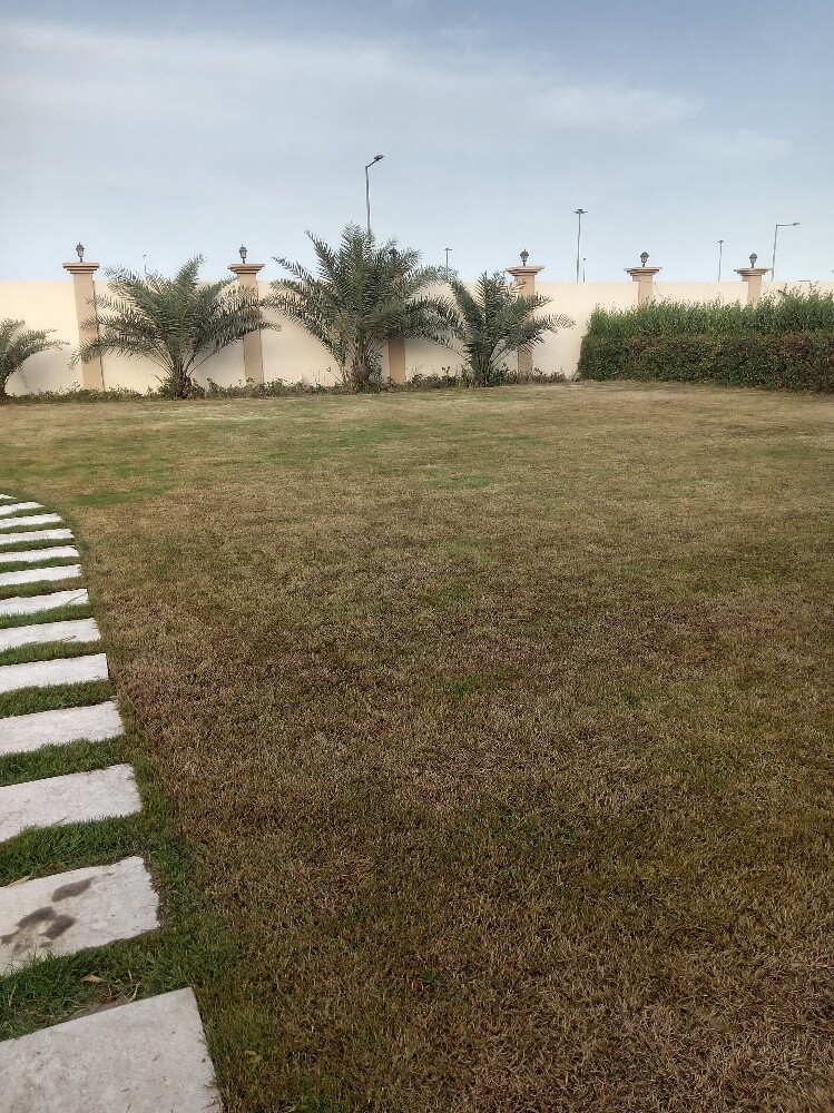 التسميد - 1