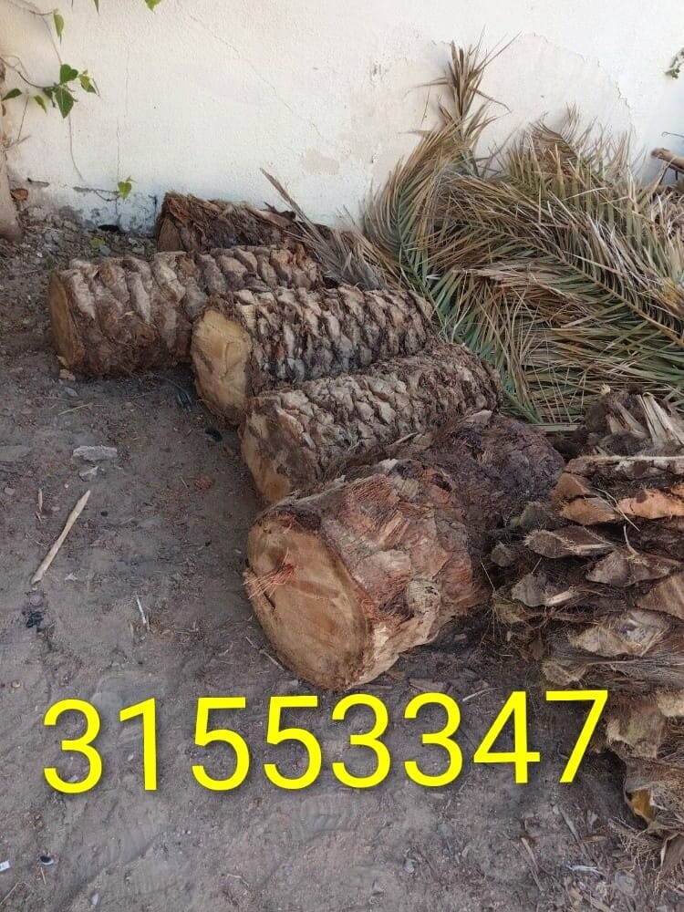 قص وتقطيع الأشجار - 1