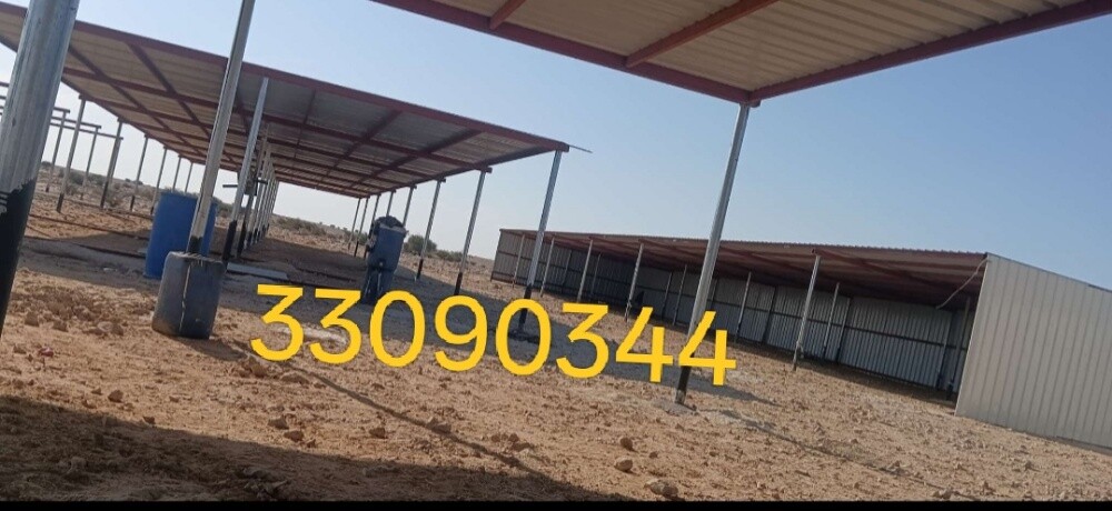 مال غنم - 1