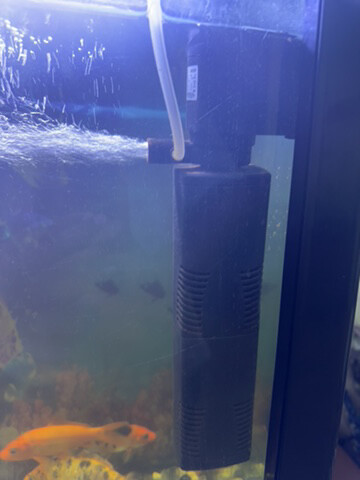 AQUARIUM WITHOUT FISH - 2
