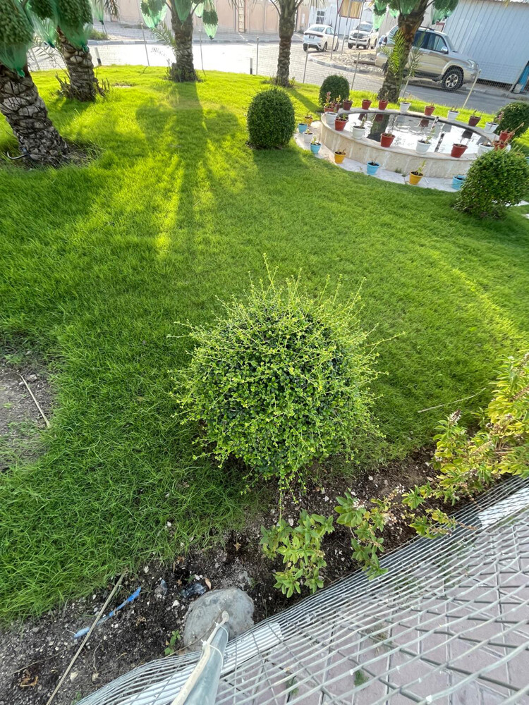 تصميم وتنسيق الحدائق  - 12