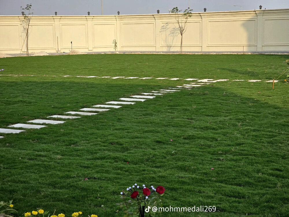 تصميم وتنسيق الحدائق  - 3