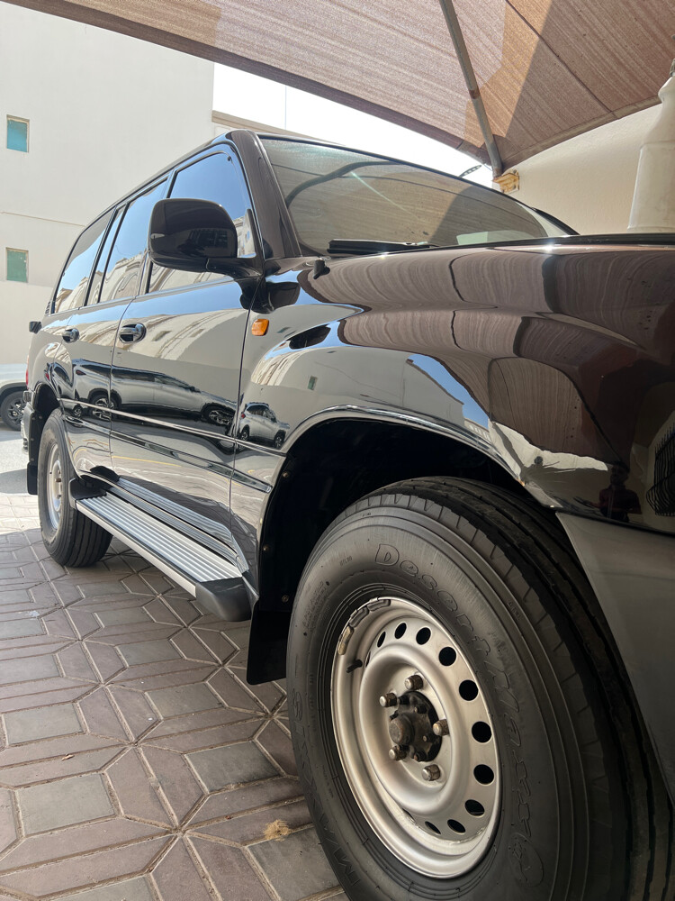 بولش فنان - 2