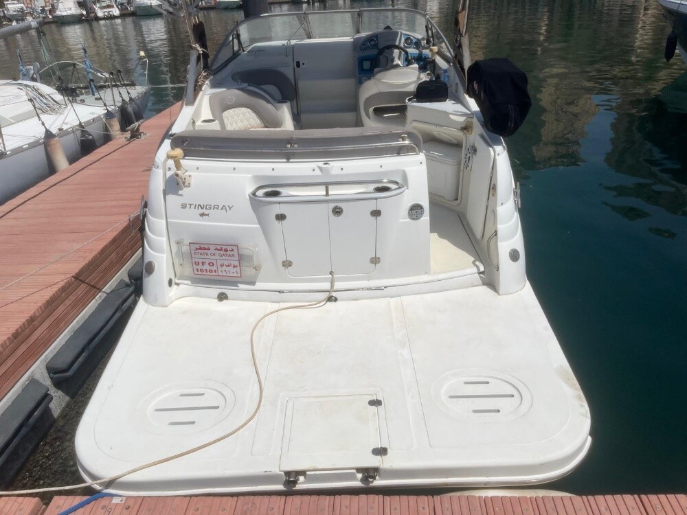 Stingray - 4