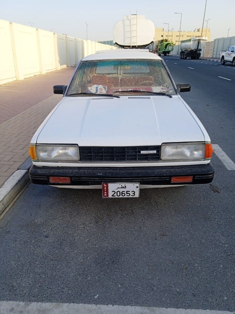 1982 Datsun OLD BEAUTY - 1