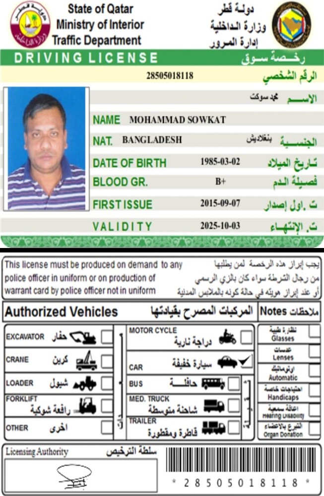 Mohammad sowkat - 1