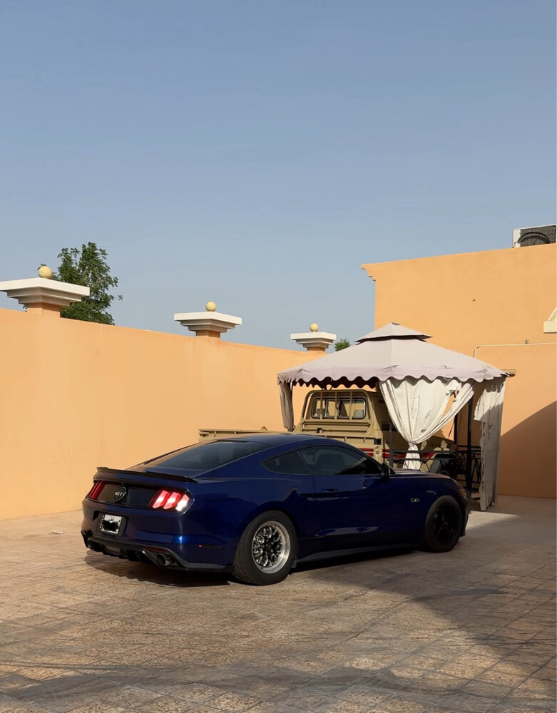 Mustang 8hp90 - 1