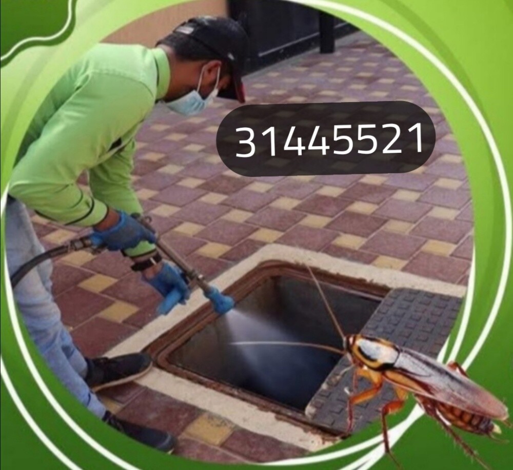 تسليك وتنظيف ورش الحشرات - 1
