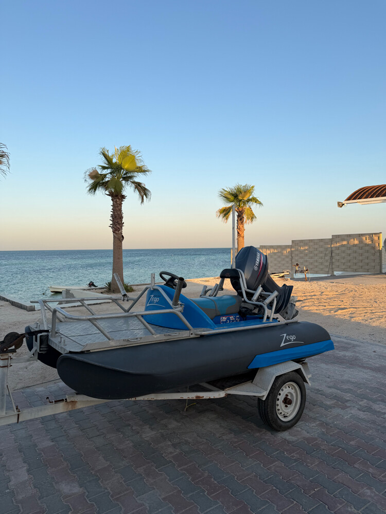 Zego 300 Sport for Sale - 3