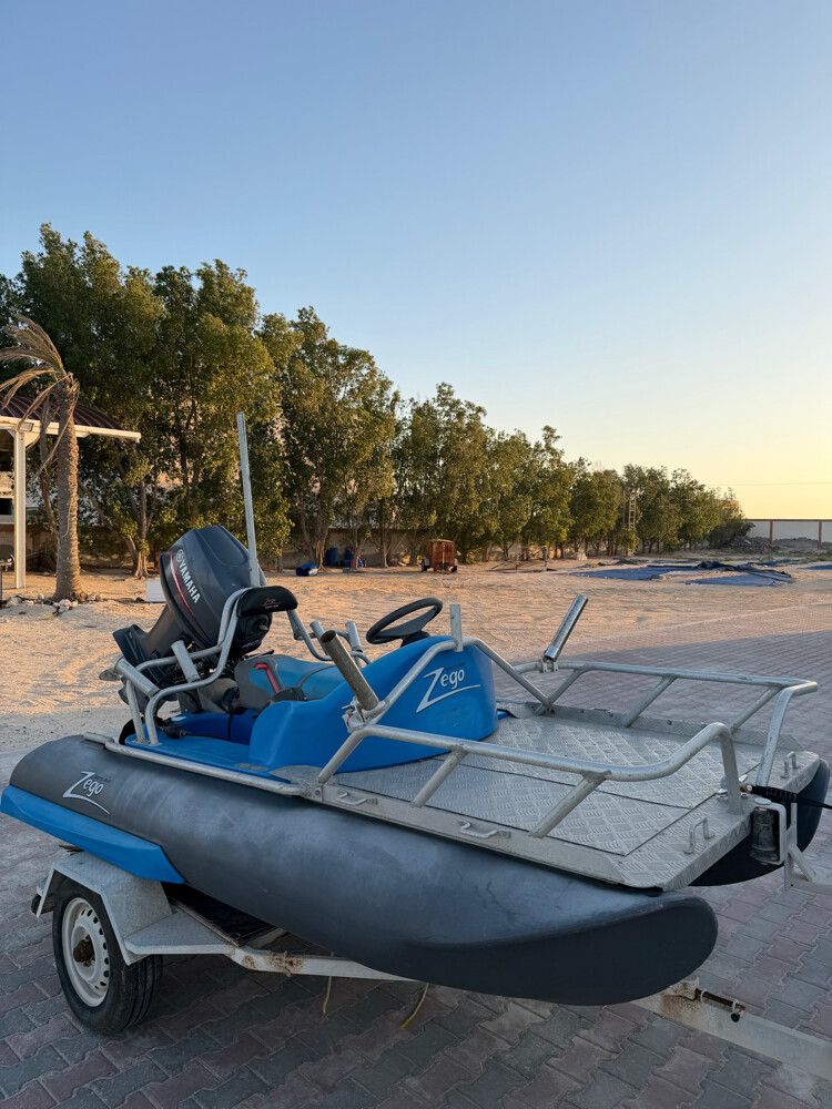 Zego 300 Sport for Sale - 7