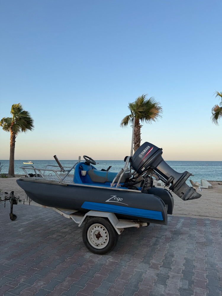 Zego 300 Sport for Sale - 2