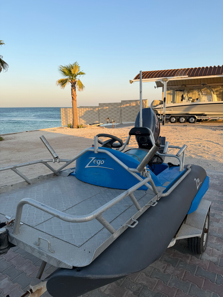 Zego 300 Sport for Sale - 4