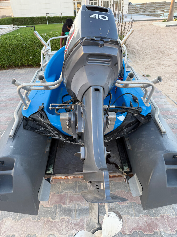 Zego 300 Sport for Sale - 6