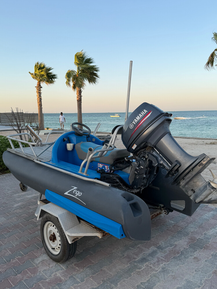 Zego 300 Sport for Sale - 5