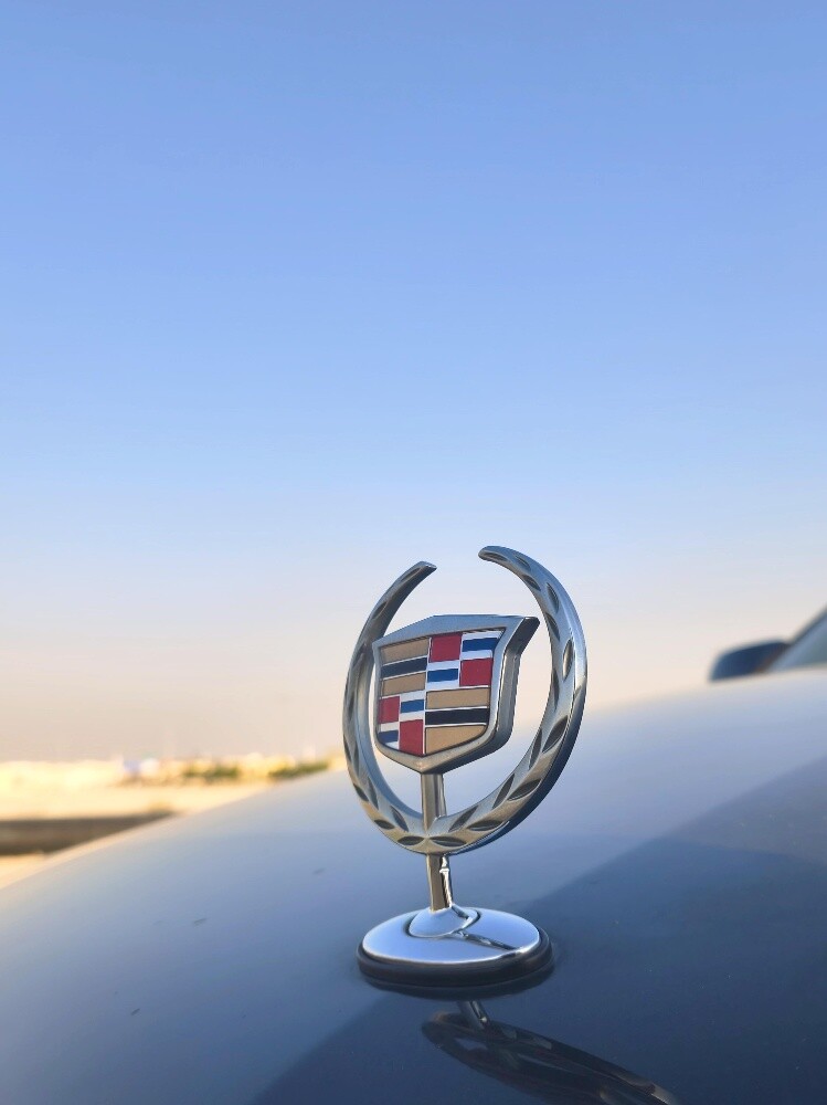 Cadillac DTS Premium 2011 - 7