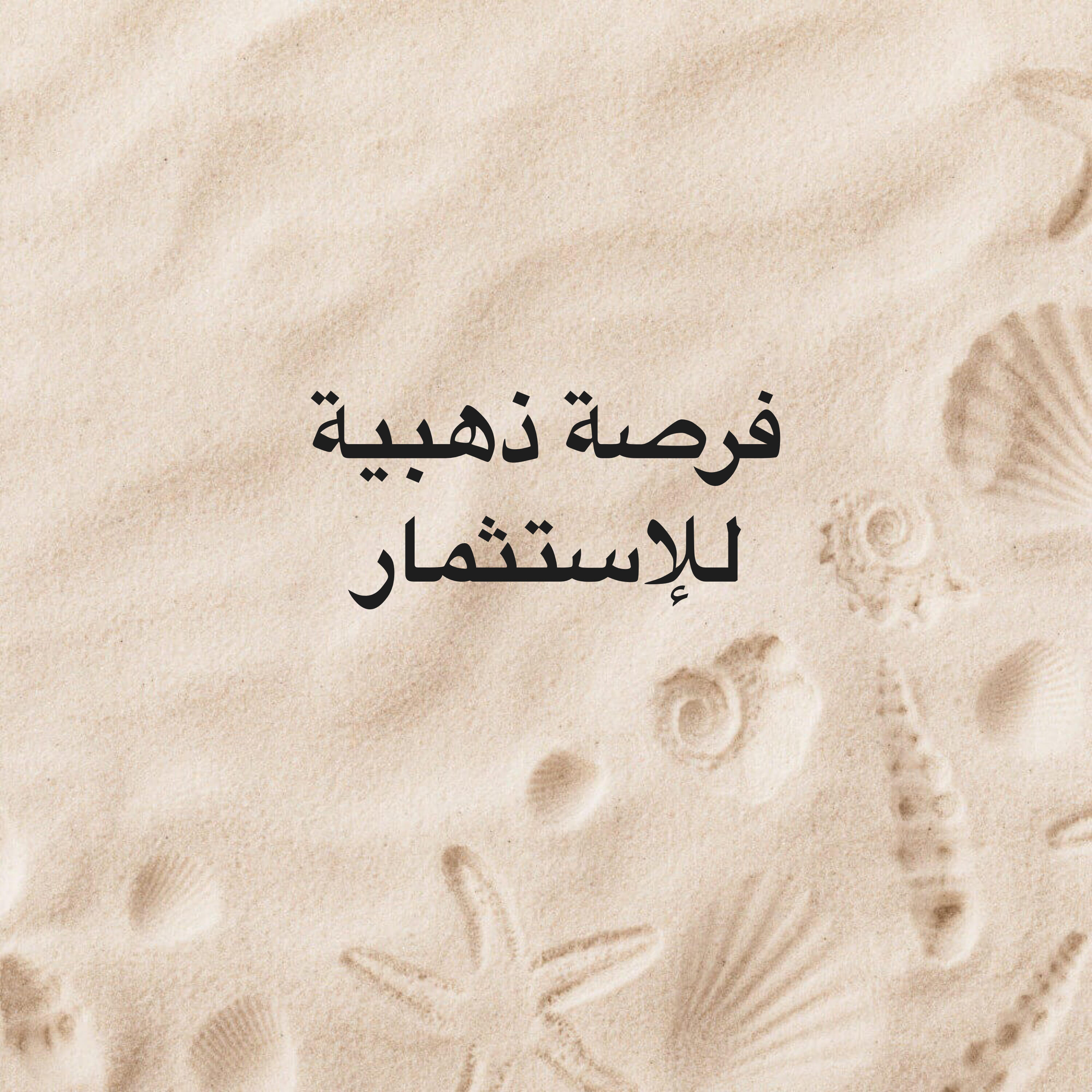 مطلوب شريك صامل - 1